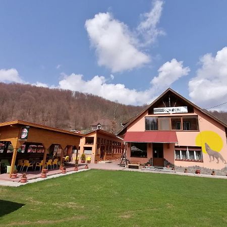 Pensiunea Colt Alb Băile Homorod Zewnętrze zdjęcie