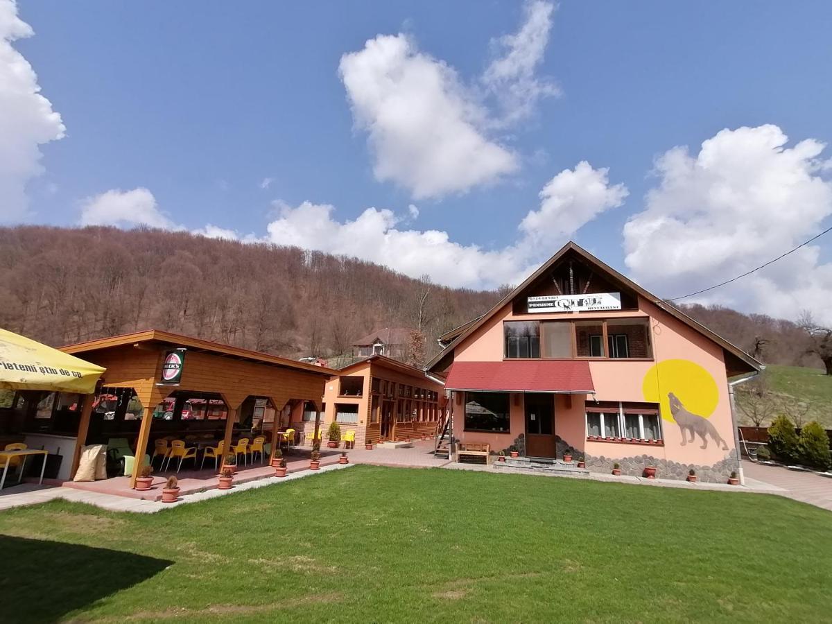 Pensiunea Colt Alb Băile Homorod Zewnętrze zdjęcie