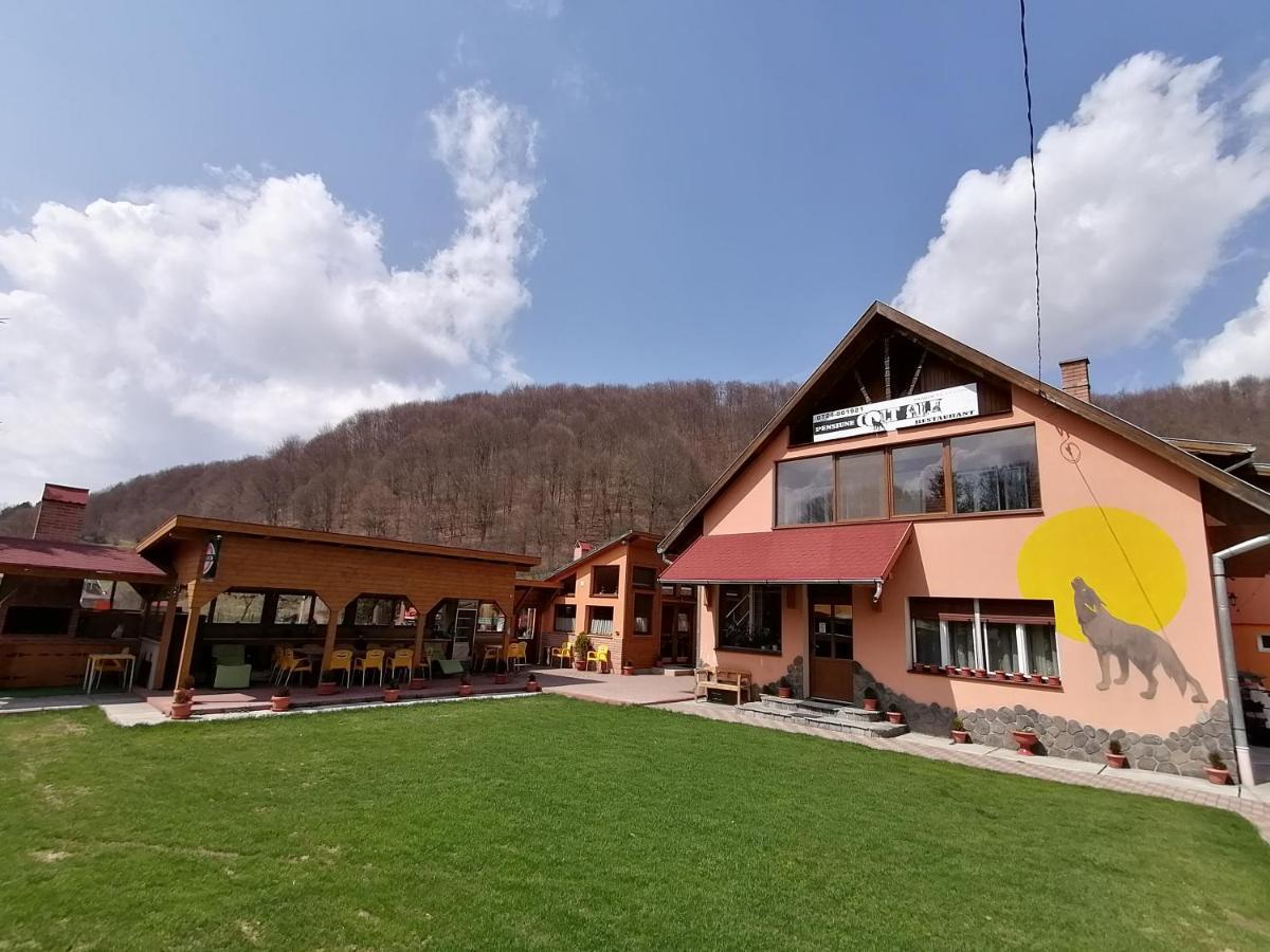Pensiunea Colt Alb Băile Homorod Zewnętrze zdjęcie