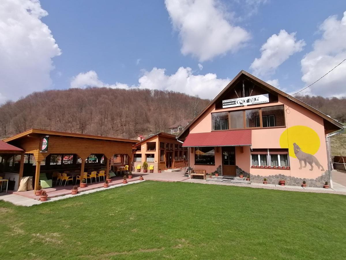 Pensiunea Colt Alb Băile Homorod Zewnętrze zdjęcie