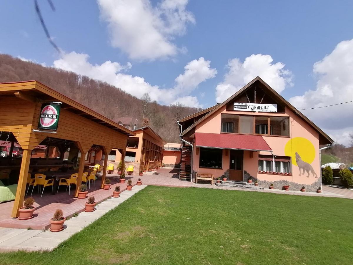 Pensiunea Colt Alb Băile Homorod Zewnętrze zdjęcie