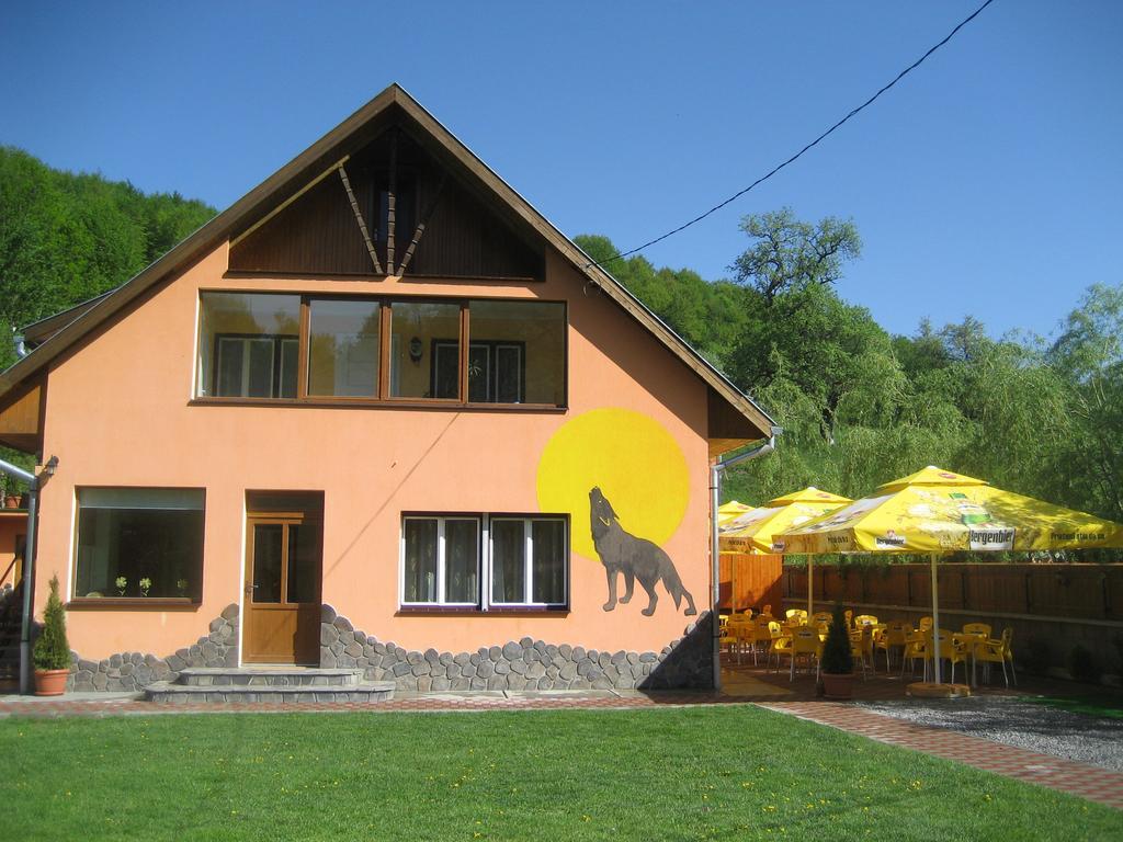 Pensiunea Colt Alb Băile Homorod Zewnętrze zdjęcie