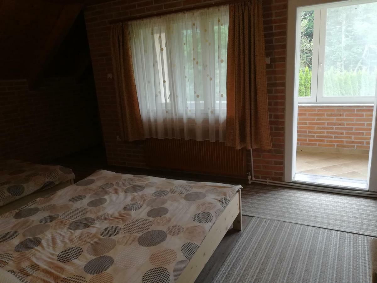 Pensiunea Colt Alb Băile Homorod Zewnętrze zdjęcie