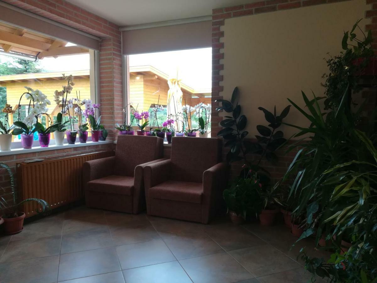 Pensiunea Colt Alb Băile Homorod Zewnętrze zdjęcie