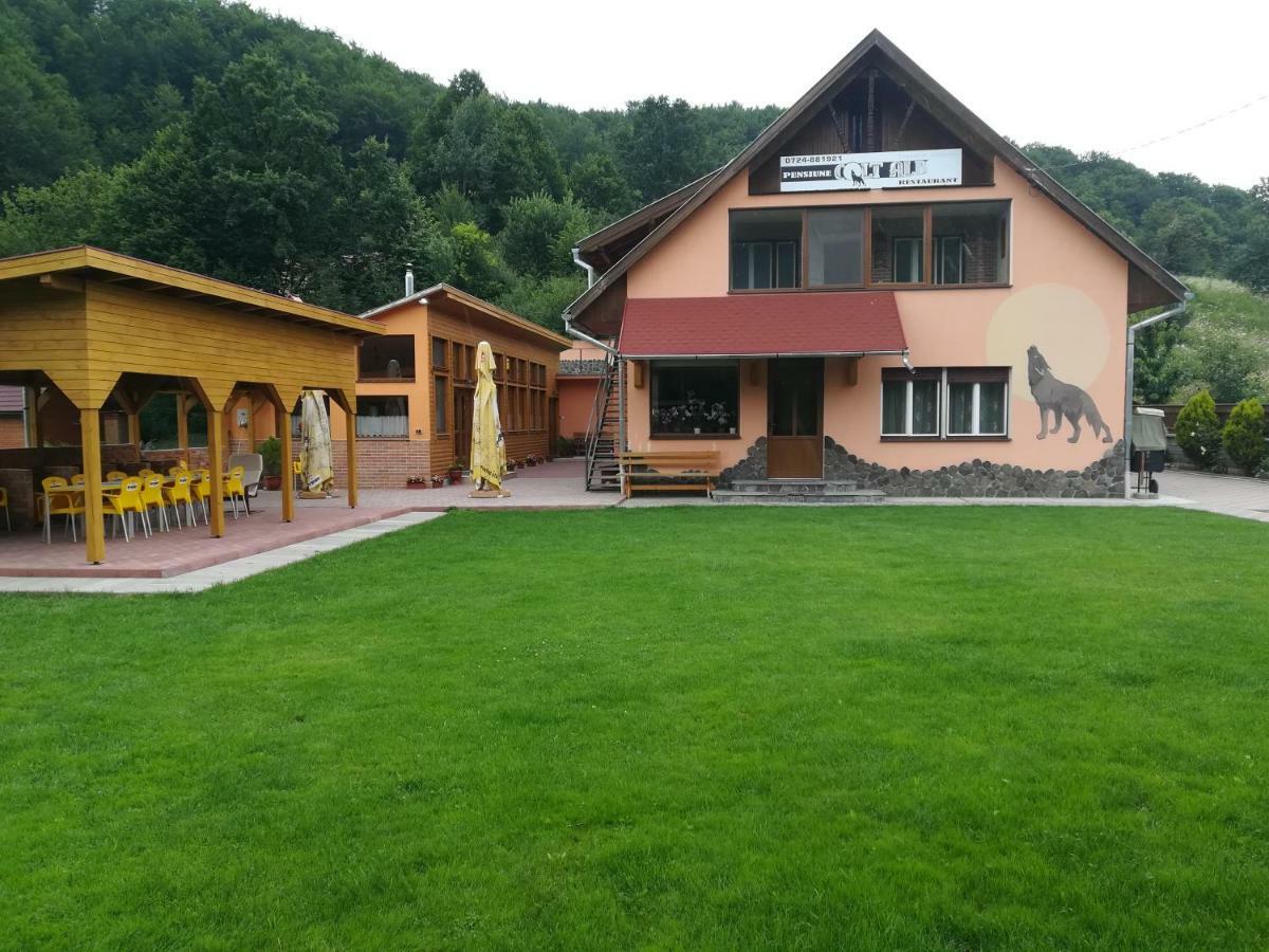 Pensiunea Colt Alb Băile Homorod Zewnętrze zdjęcie